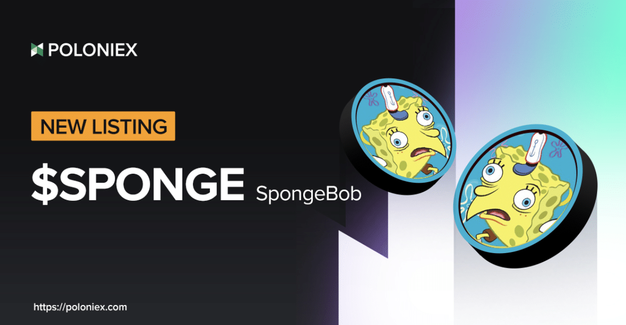 sponge crypto 