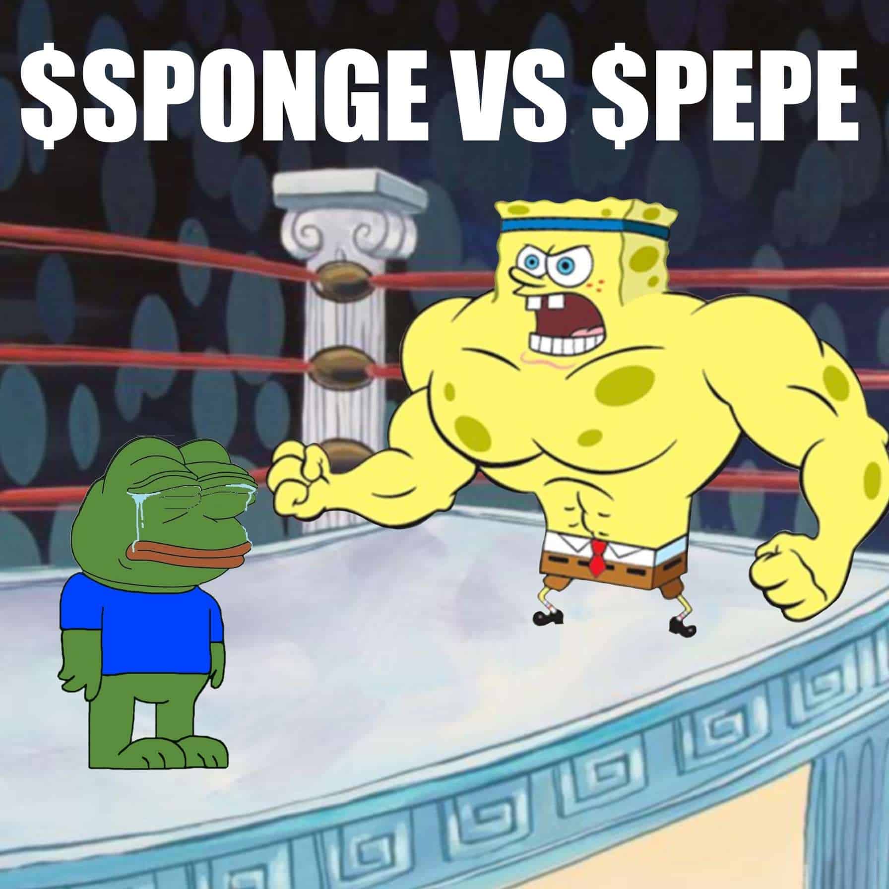 sponge crypto