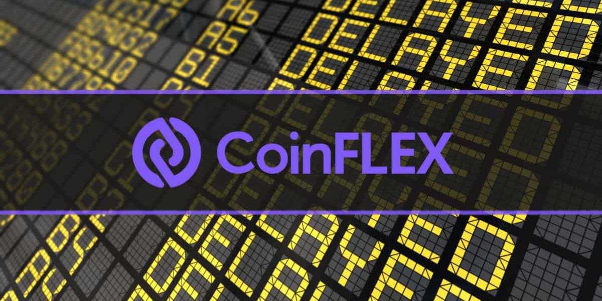 Flex Coin - une pièce résistante avec un avenir prometteur