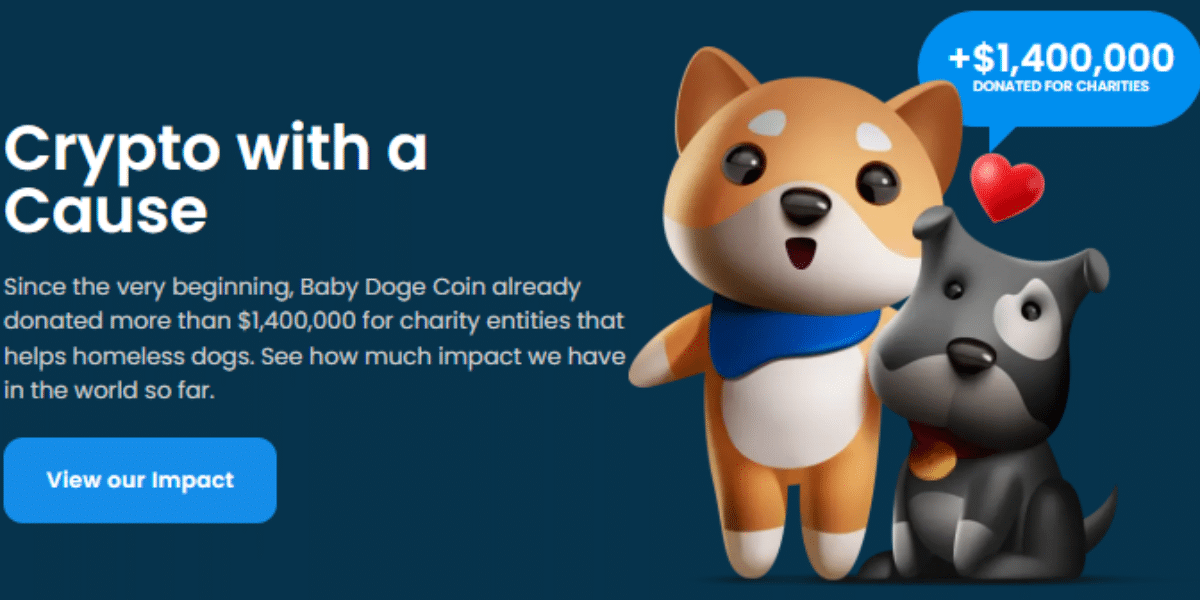 Objectif du projet crypto Baby Doge