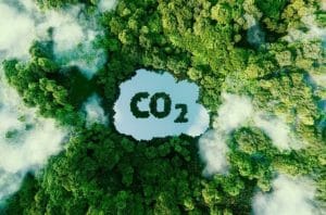 CO2 Verdures - Investir dans les crédits carbone