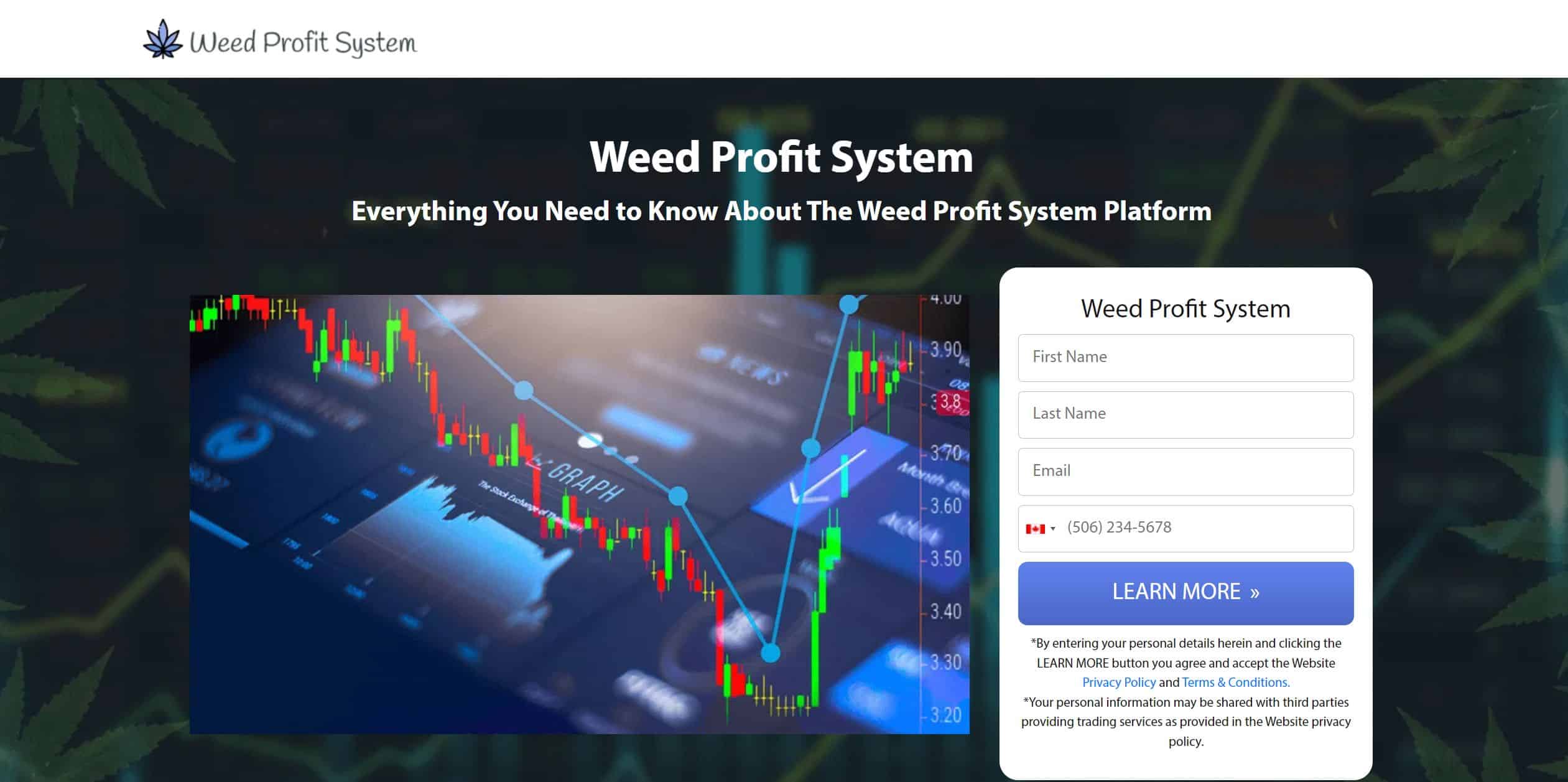 weed profit system