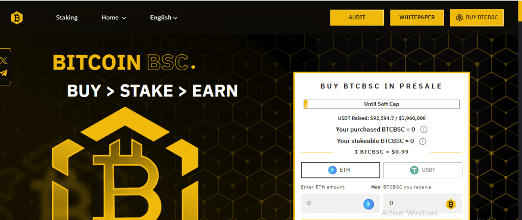 BITCOIN BSC LOGO