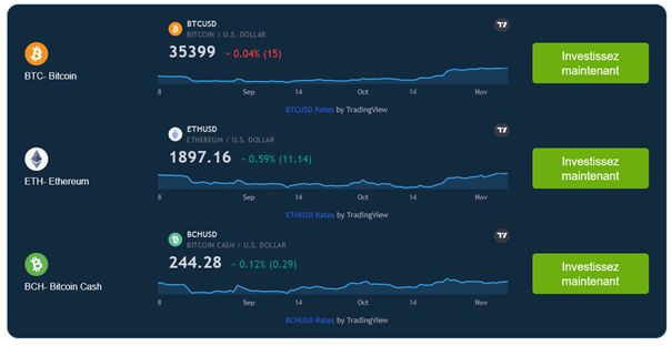 Bitapp24 review: automatic trading