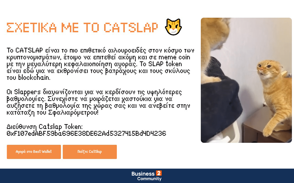 σχετικά με το catslap