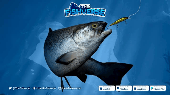 fishverse kripto