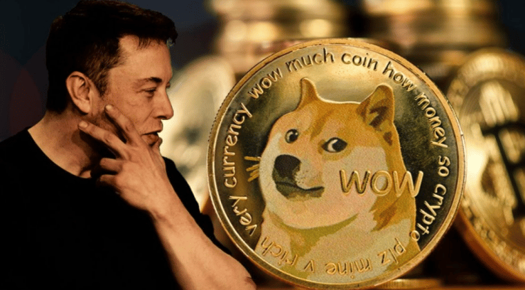 DOGE.Elon