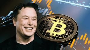 Elon Musk Bitcoin