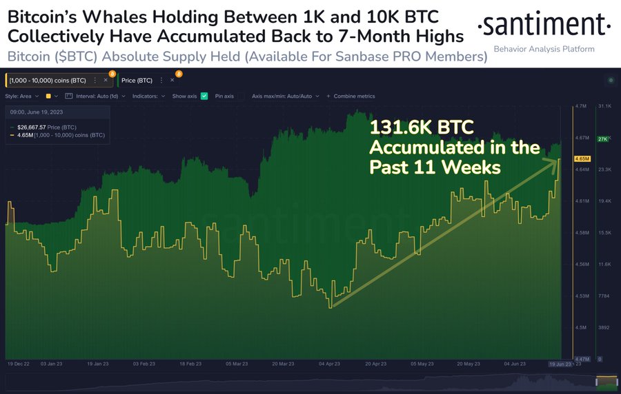 Bitcoin bálnák vásárlása