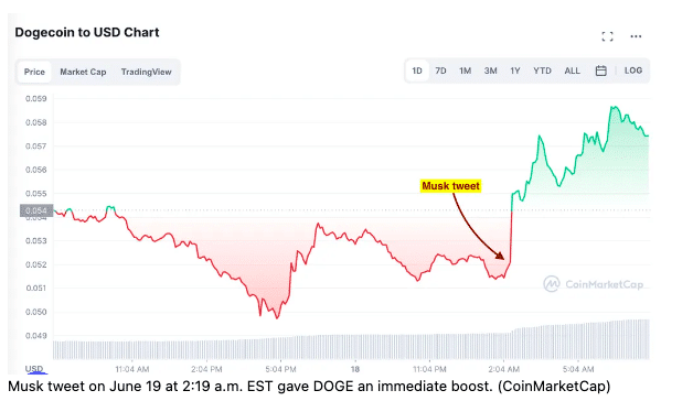 Dogecoint-musk-pump