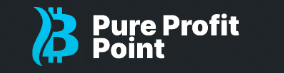 pure profit point logo