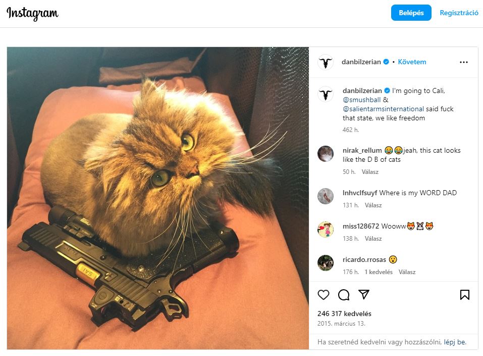 Dan Bilzerian cat