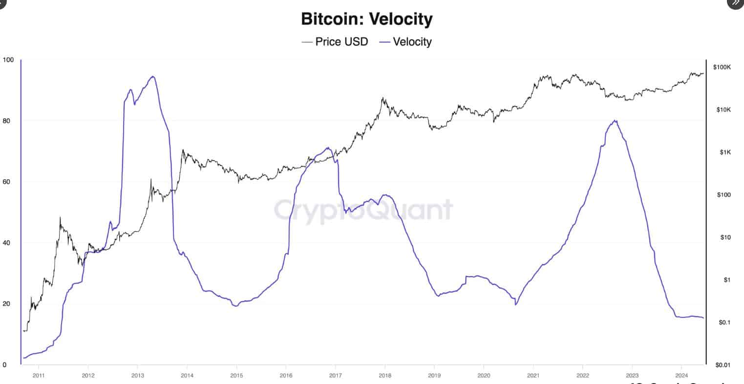 Bitcoin Velocity