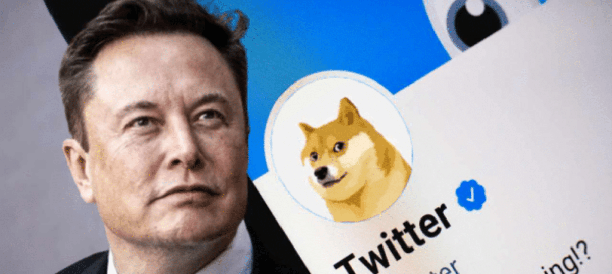 elon musk twitter