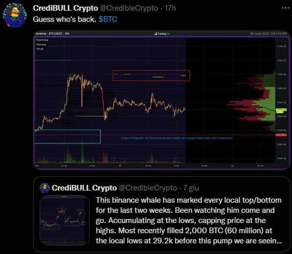 credibull whale btc tweet