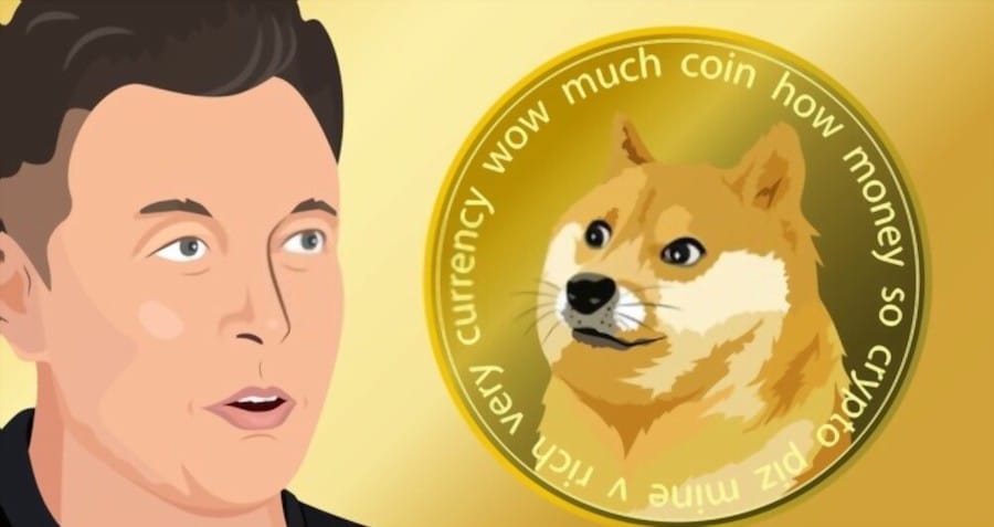 elon musk dogecoin