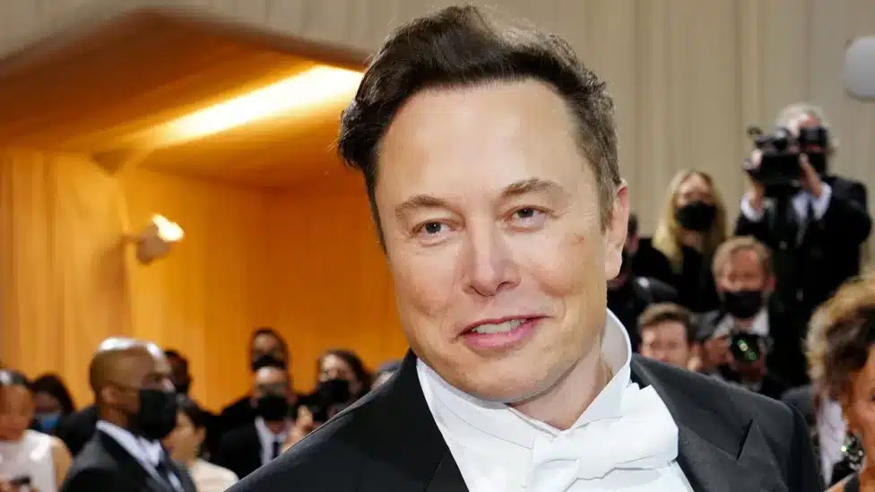 quante crypto ha elon musk