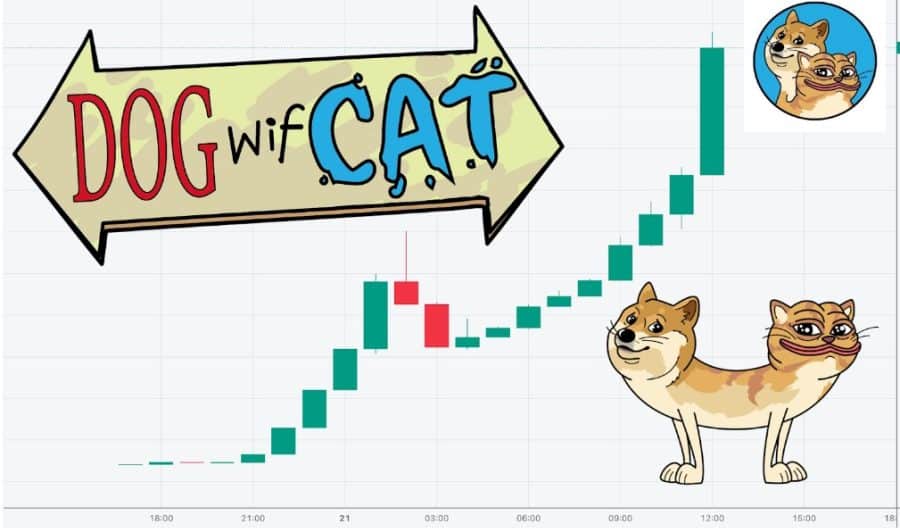 comprare dogwifcat - grafico