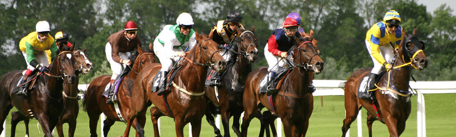 パリミュチュエル・ベッティングブックメーカー競馬