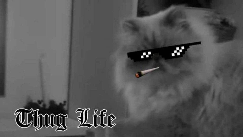 Thug Lifeのミーム画面