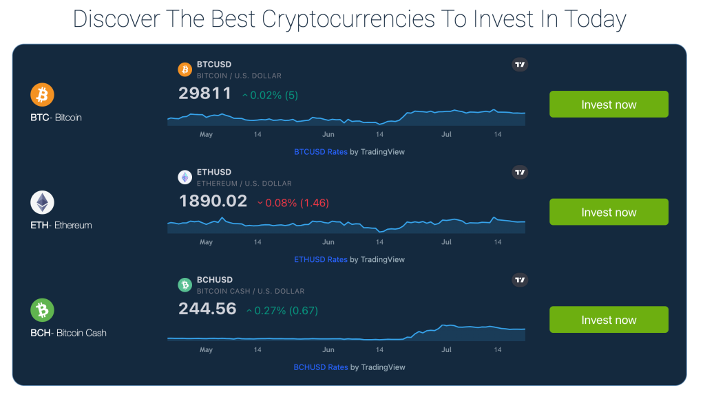 Bitcoin Circuitのチャート