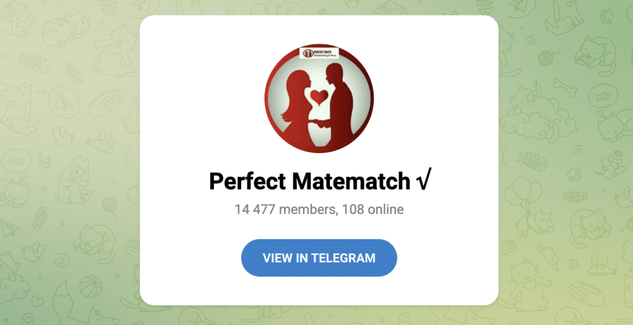 PerfectMateMatch - gyvybingas Telegram kanalas, skirtas padėti žmonėms susirasti romantiškus partnerius