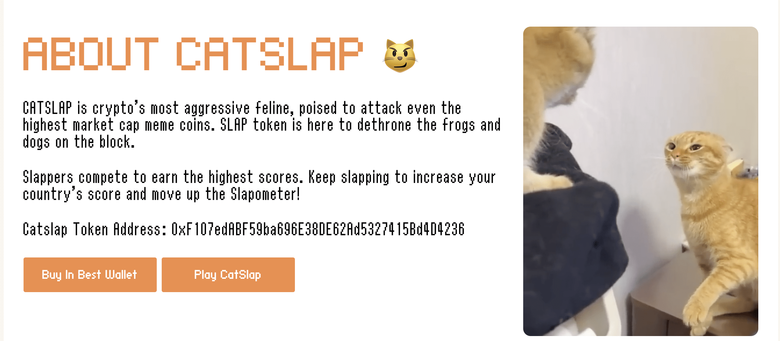 2. CatSlap ($SLAP) - žaisminga revoliucija memecoin rinkoje