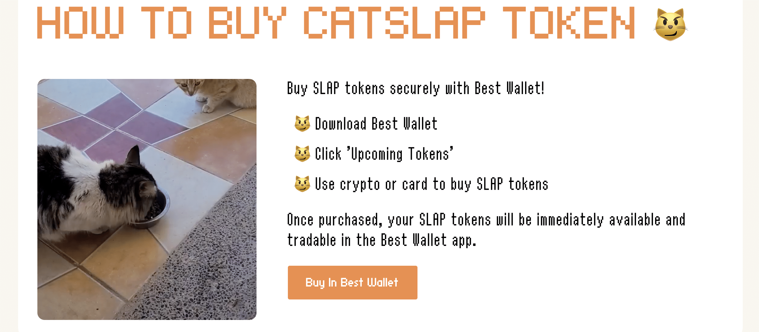 catslap