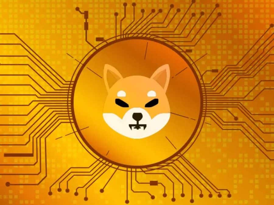 Shiba Inu (SHIB) - Uz Ethereum balstīts altcoin ar spēcīgu kopienu un augstu izaugsmes potenciālu, kas piedāvā dinamisku kopienu un izaugsmes iespējas 2024. gadā.