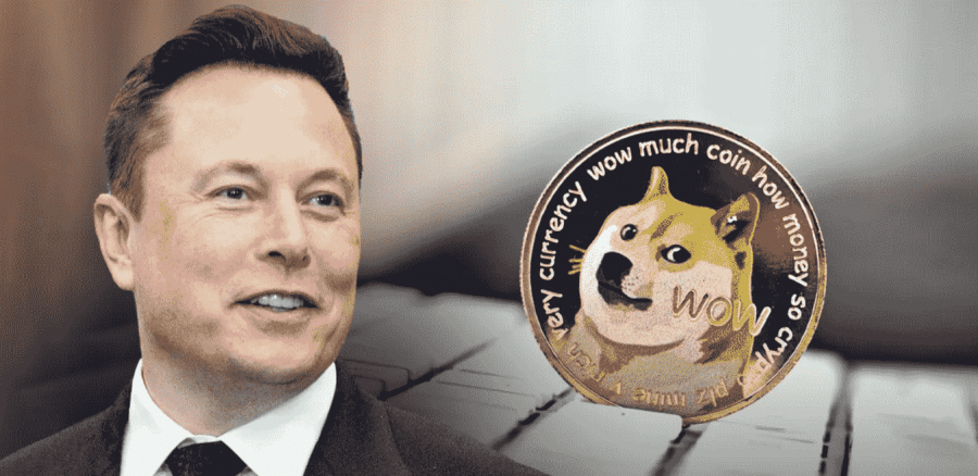 Kan Dogecoin veel waard worden - Elon Musk invloed