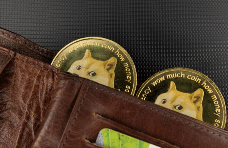 Dogecoin Trading Activiteit rijst de Pan uit