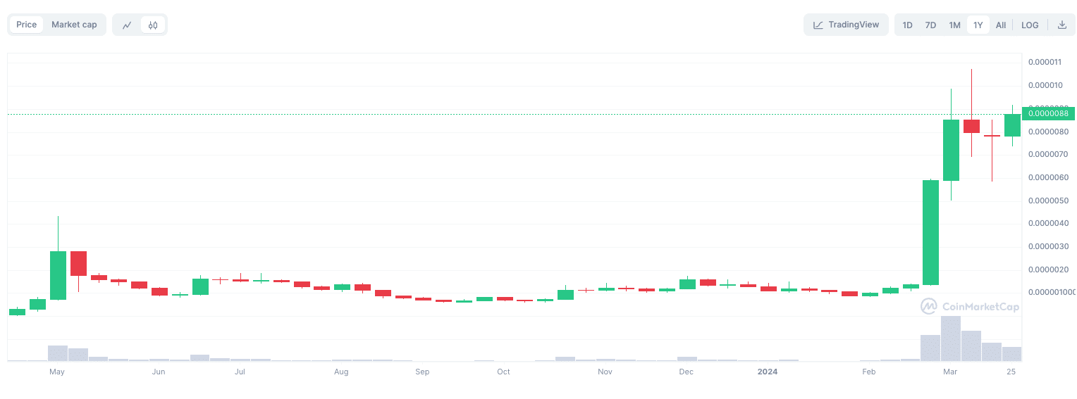 pepe coin meme coin koers ontwikkeling 1 jaar