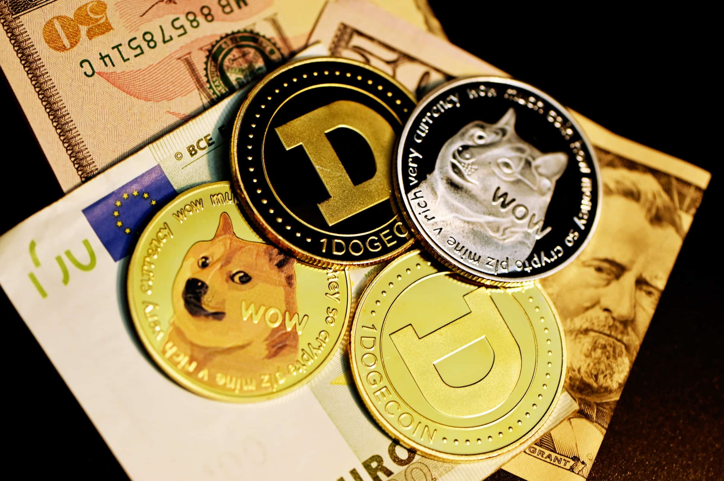 dogecoin seddel mynter investering