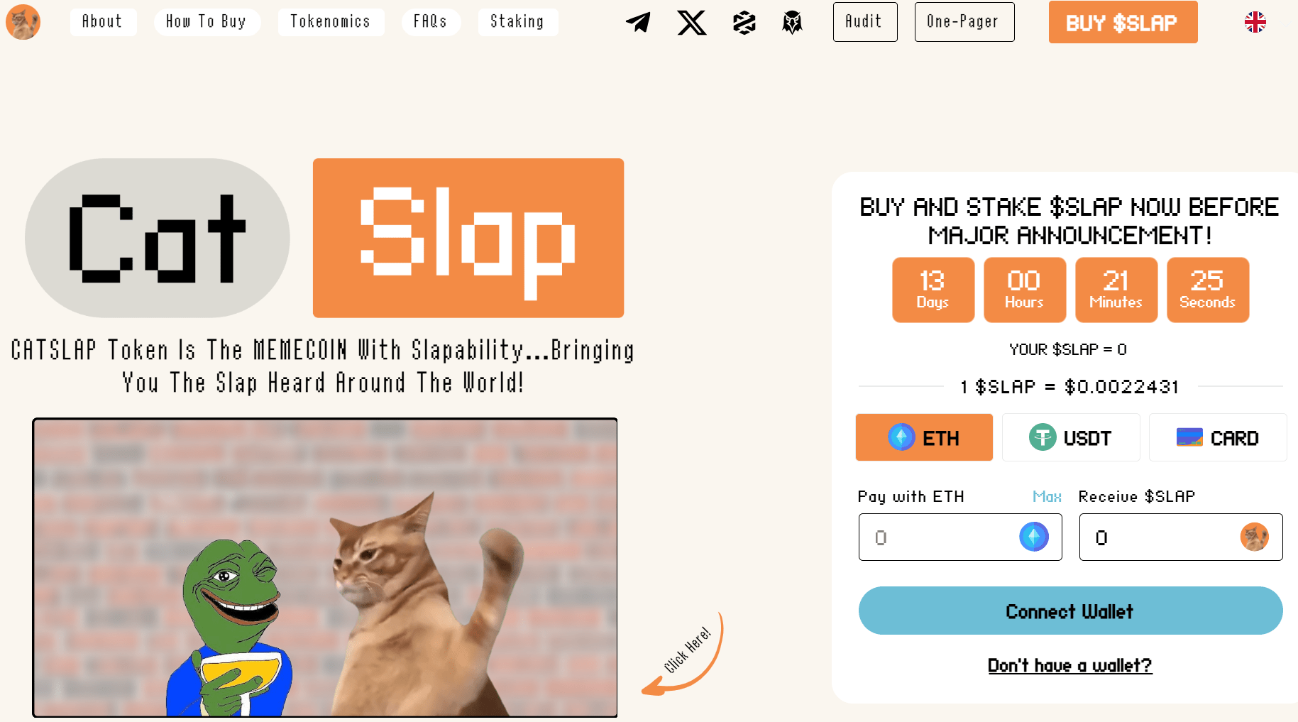 SlapCat meme coin