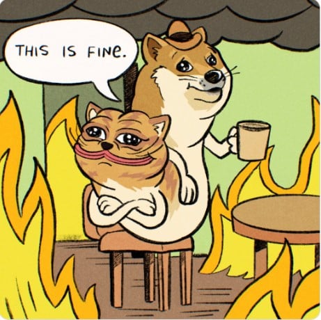 dogwifcat this is fine