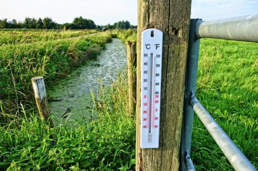 canada onda de calor