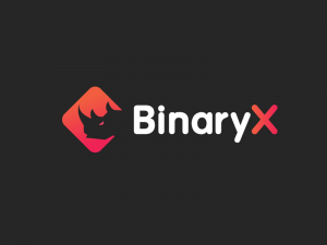 BinaryX Logo