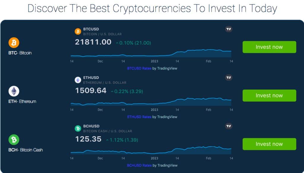 Bitcoin Dynamit Review