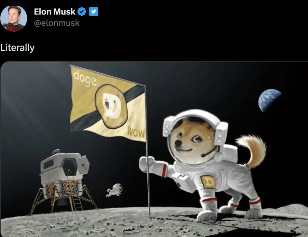 Elonk Musk proces dogecoin