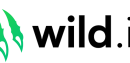 Wild.io Logo