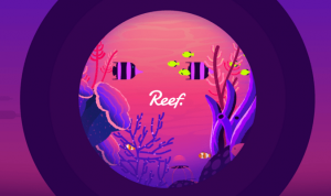 reef