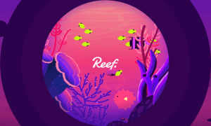 Reef