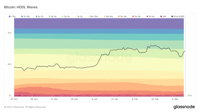 Bitcoin HODL Waves