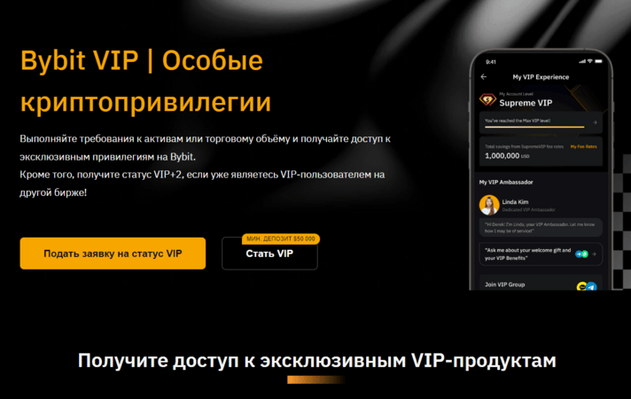 bybiit VIP