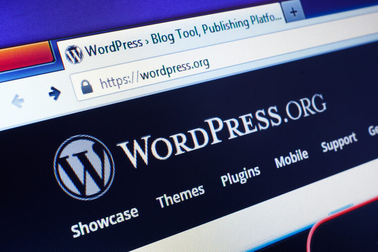 блог в wordpress