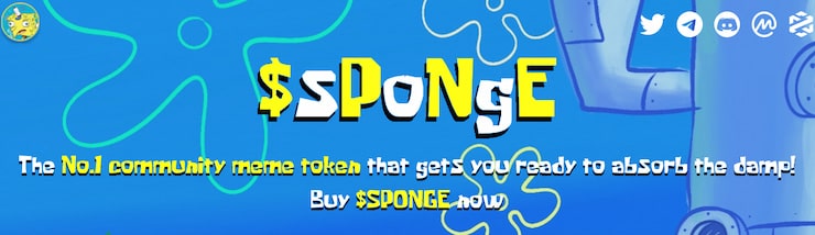 sponge kursprognos