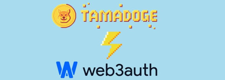 Tamadoge partnerskap med Web3Auth