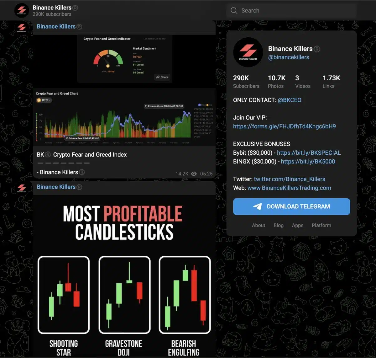 telegramová skupina binance killers