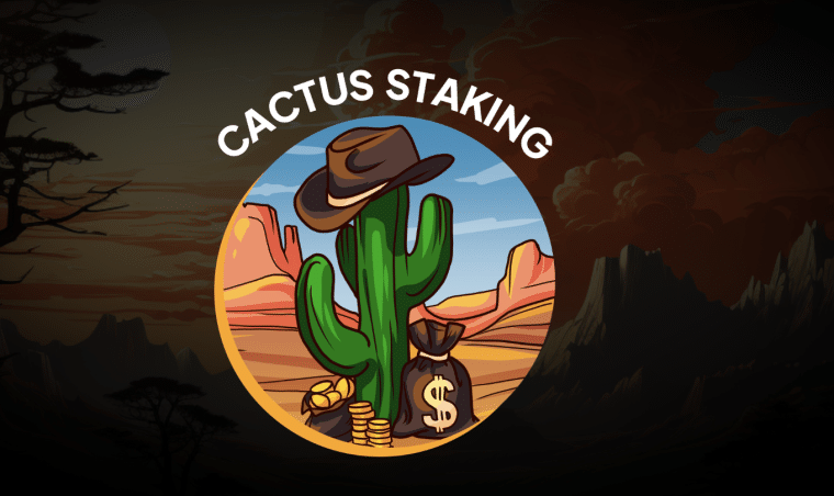 Cactus staking projektu Shiba Shootout