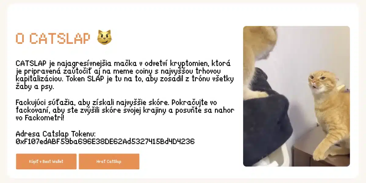 catslap o projekte